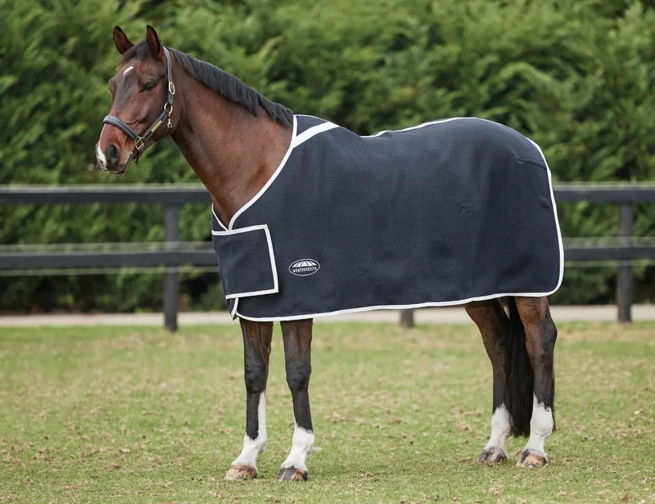 Weatherbeeta Wool with Chest Panel Standard Neck